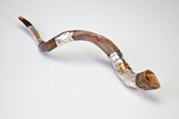 Jerusalem and Olive Branch Silver Plated Yemenite Shofar
