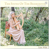 CD The Sound of the Bridegroom
