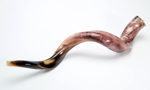 Yemenite Plain Shofar Kosher