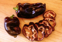 Capsicum Chocolate