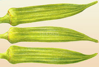 Okra Clemsons Spineless