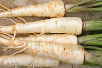 Parsnip Hollow Crown