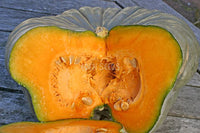 Pumpkin Queensland Blue