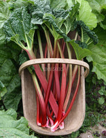 Rhubarb Victoria