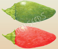 Chilli Jalapeno