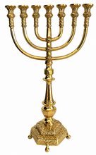 43cm Branch Menorah