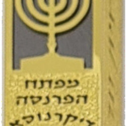 20cm Gold Mezuzah with Lacing Silver