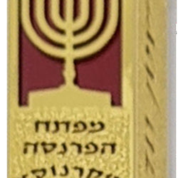 20cm Gold Mezuzah with Lacing Red