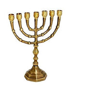 20cm Menorah