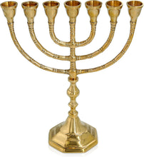 25cm Branch Menorah