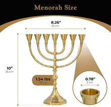 25cm Branch Menorah