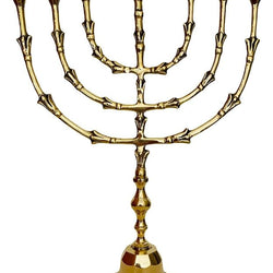 34cm Brass Menorah