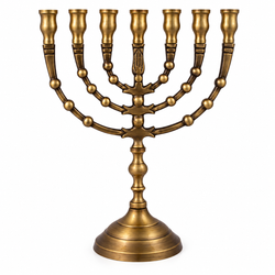 23cm Knops and Flowers Menorah
