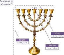 31cm Living Branch Brass Menorah