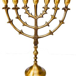 31cm Living Branch Brass Menorah