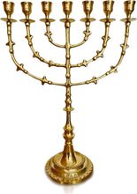 40cm Living Branch Brass Menorah