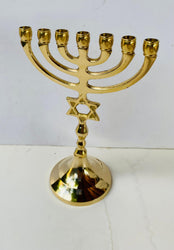 16cm Messianic Menorah