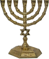 10cm Star of David Menorah