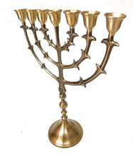 31cm Living Branch Brass Menorah