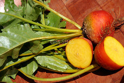 Beetroot Golden