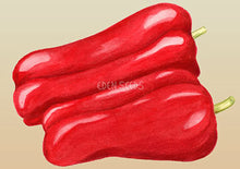 Capsicum Marconi Red