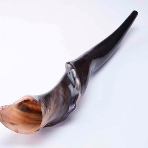 Eland Shofar