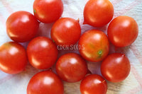 Tomato Riesentraube