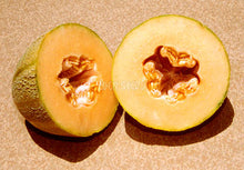 Rockmelon Hales Best