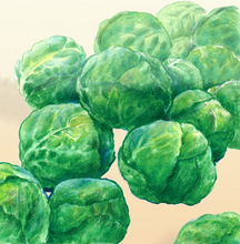 Brussels Sprouts Groninger