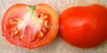 Tomato Prosperity