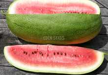 Watermelon Charleston Grey