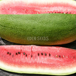 Watermelon Charleston Grey
