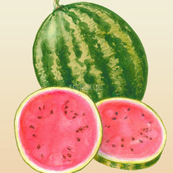 Watermelon Warpaint