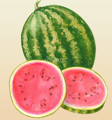 Watermelon Warpaint