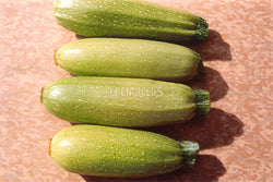 Zucchini Lebanese