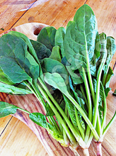 Spinach English Winter Giant